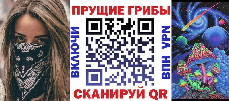 Псилоцибиновые грибы GOLDEN TEACHER  shop наркотические препараты  Темников  где можно купить наркотик 
