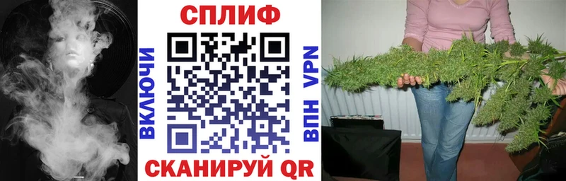 Бошки Шишки OG Kush наркотики Темников